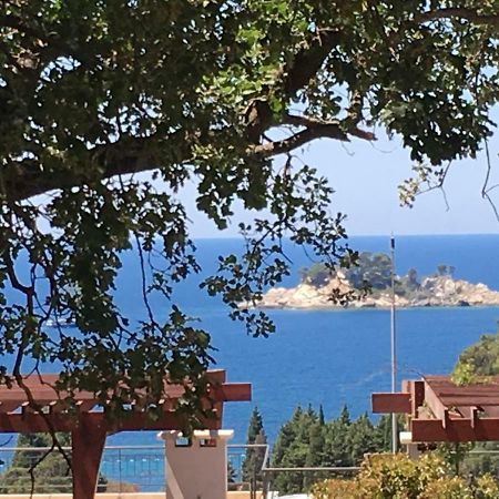 Villa Julia Petrovac Extérieur photo