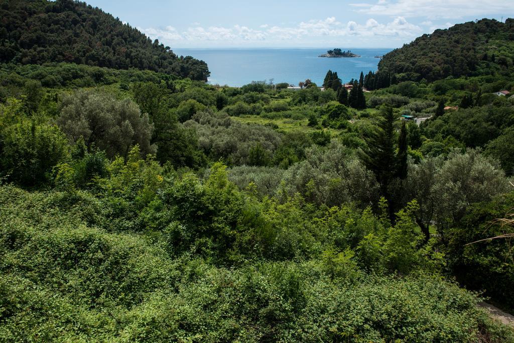 Villa Julia Petrovac Extérieur photo