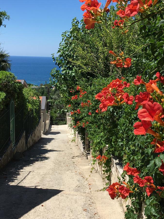 Villa Julia Petrovac Extérieur photo